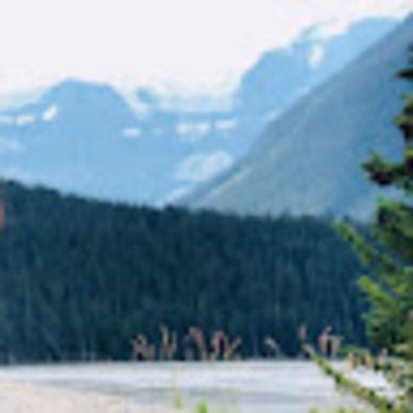 Meet your Posher, Mashie - Picture 1 of 1